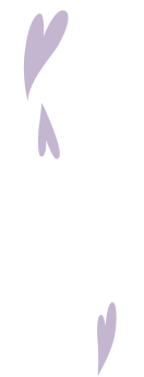 deco